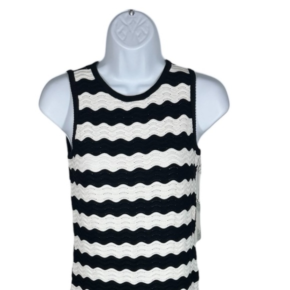 Black White Wavy Stripe Knit Maxi Dress Wilder Tuckernuck Hyacinth XXS - Picture 3 of 9